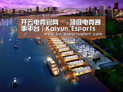 案例展示八