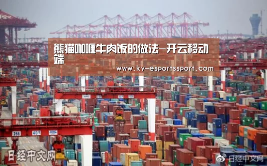 熊猫咖喱牛肉饭的做法-开云移动端(图1) 开云电竞官网