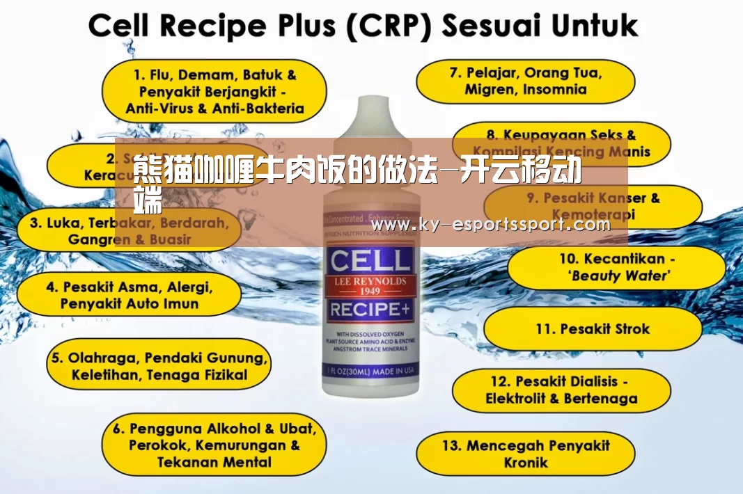 熊猫咖喱牛肉饭的做法-开云移动端(图2) 开云电竞官网