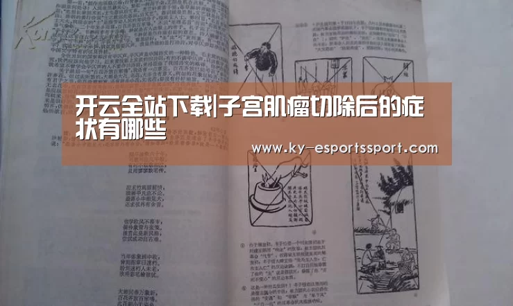 开云移动端