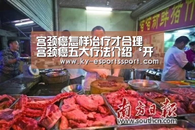 开云移动端