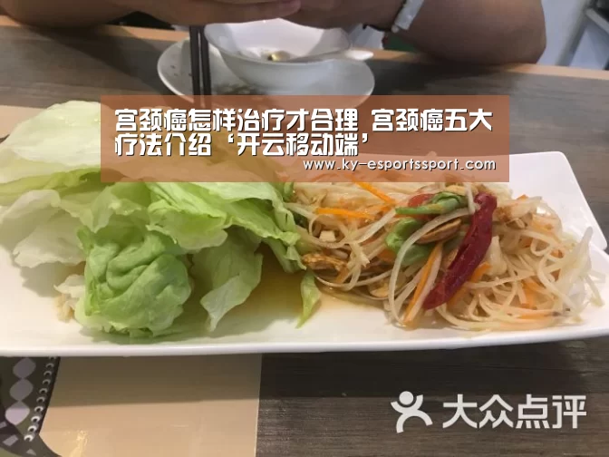 开云体育下载
