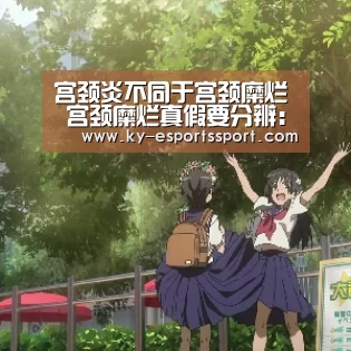 开云电竞官网
