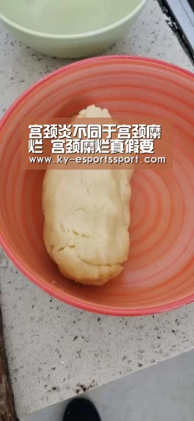 开云体育下载
