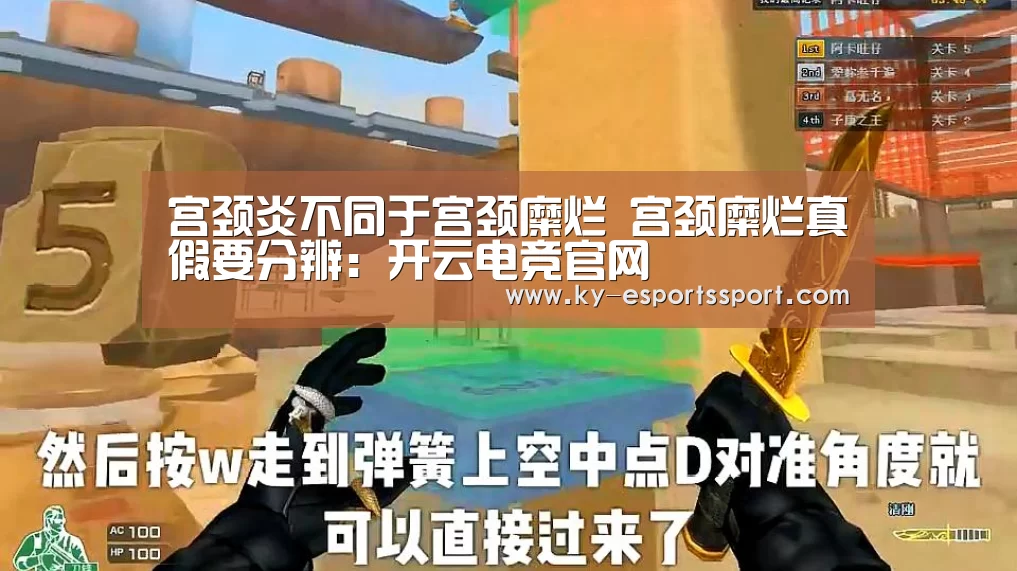 开云电竞官网