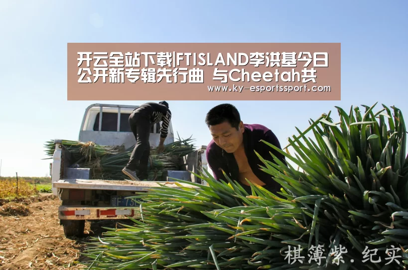 开云移动端