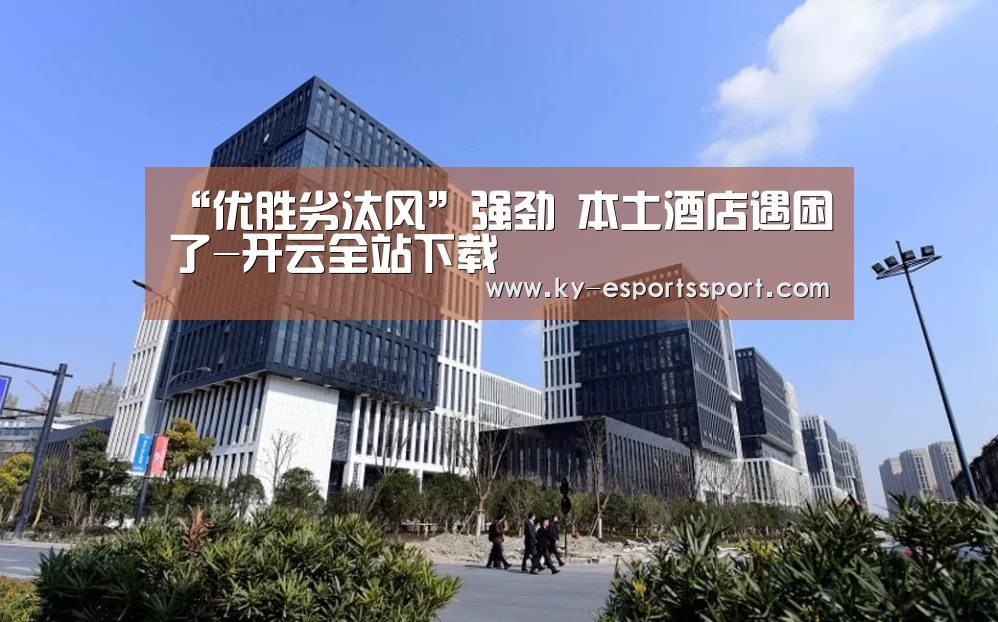 “优胜劣汰风”强劲 本土酒店遇困了-开云全站下载(图4) 开云体育下载