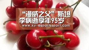 “漫威之父”斯坦李病逝享年95岁 漫威电影人纷纷悼念【开云电竞官网】(图3) 开云体育下载