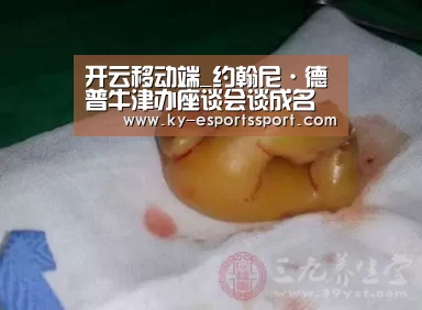 开云电竞官网
