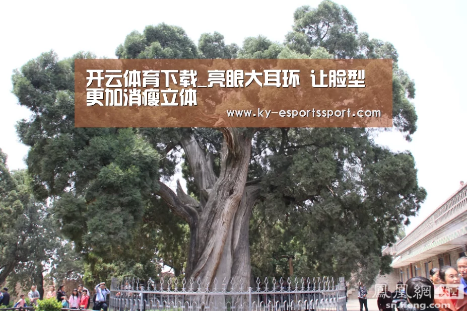 开云体育下载_亮眼大耳环 让脸型更加消瘦立体(图2) 开云电竞官网