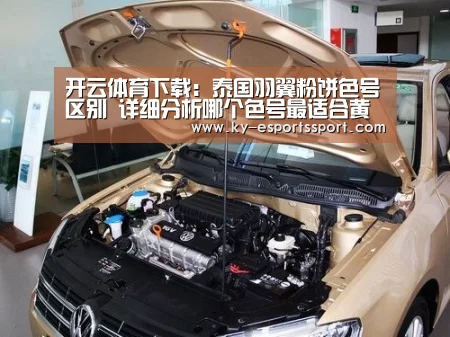 开云体育下载:泰国羽翼粉饼色号区别 详细分析哪个色号最适合黄皮用(图4) 开云移动端