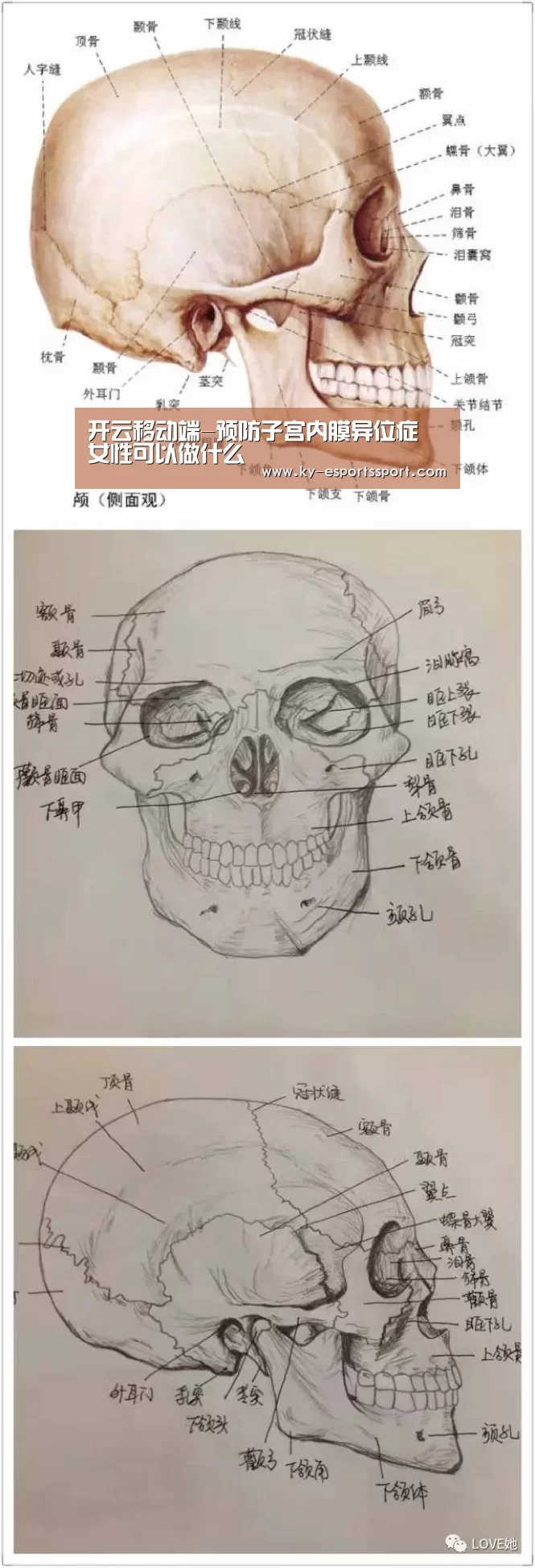 开云体育下载